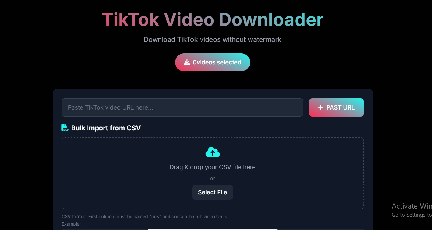 TikTok Video Downloader Preview